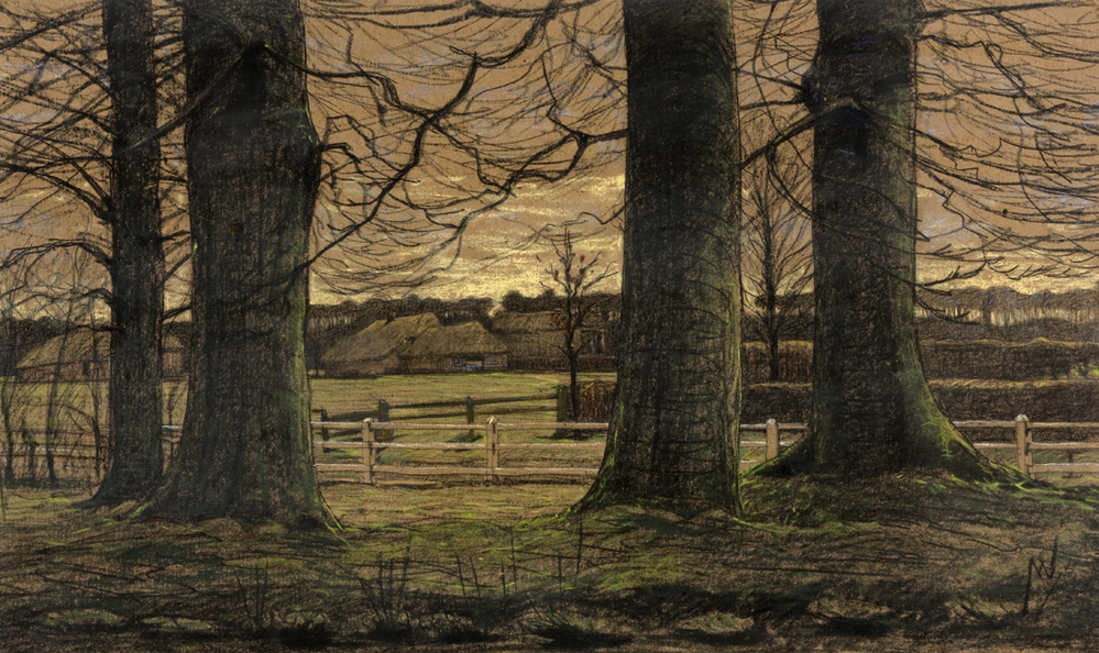 Landschap met beuken